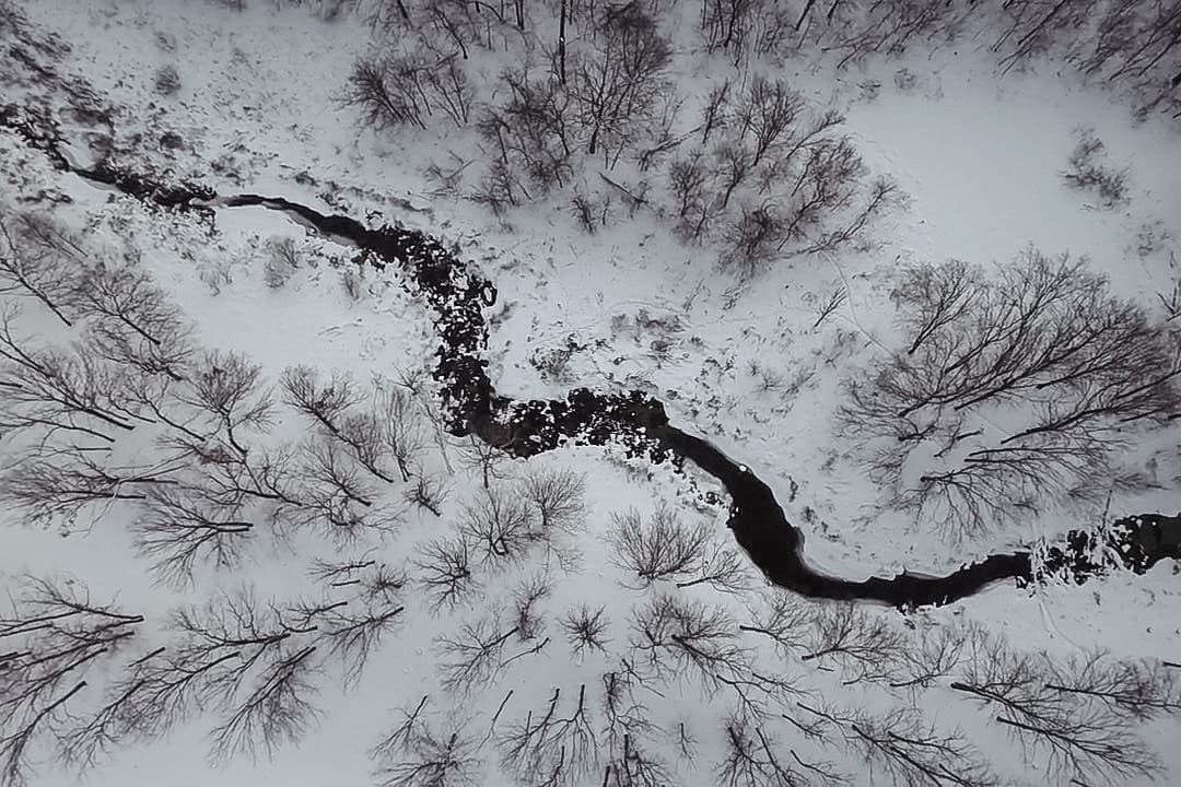 Наталья Шульгина